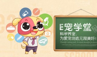 e宠国际怎么取消订单