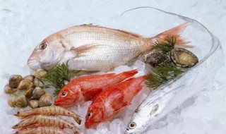 鱼怎么贮藏（鱼如何储存）