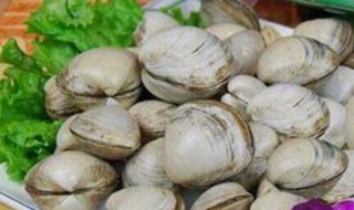 白蚬怎么煮（白蚬子的做法 水煮多久）