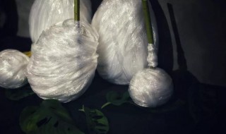 作茧自缚的例子（作茧自缚的例子20字）