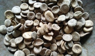 马钱子的功效与作用（马钱子的功效与作用及毒副作用）