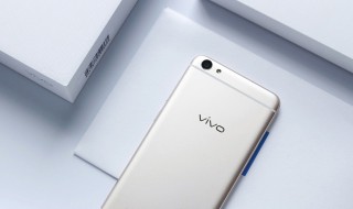 vivoy67支持电信卡吗（vivoy67a可以用电信卡吗）