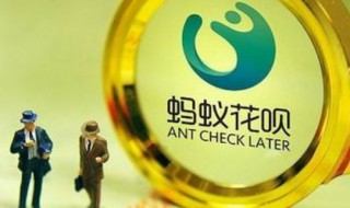 蚂蚁花呗额度怎么降低了 蚂蚁花呗怎么突然额度降低