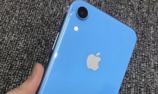 iphonexr用不了移动网络（苹果xr为什么用不了移动网络）