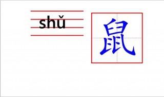 鼠怎么写 小松鼠怎么写