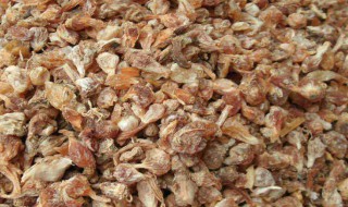 薤白的功效与作用（薤白的功效与作用图片）