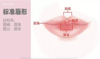 一个学生怎样才能弄出唇珠（一个学生怎样才能弄出唇珠和唇珠）