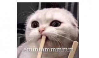 Emm什么意思（Emma什么意思）