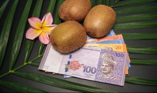 马来西亚奇异果如何保存（买回来的奇异果怎么存放）