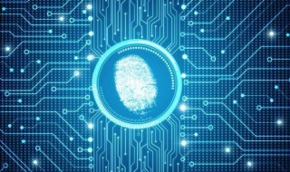 指纹与密码在设置的哪里（指纹与密码在设置的哪里vivo）