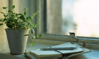 仓颉的贡献是什么 仓颉的贡献是什么朝代