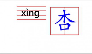 杏字怎么写 杏字怎么写怎么组词