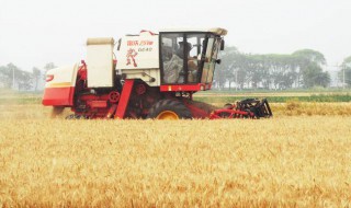 如何理解我国农业生产经营体制（如何理解我国农业生产经营体制改革）