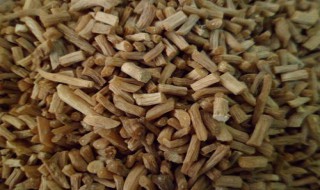 牛膝的功效与作用 牛膝的功效与作用的功能与主治与用量