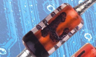 二极管的作用 二极管的作用和工作原理