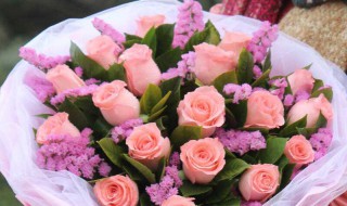 粉玫瑰的话语是什么（粉玫瑰花的话语）