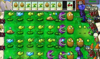 植物大战僵尸无限阳光秘籍（植物大战僵尸无限阳光秘籍怎么用）