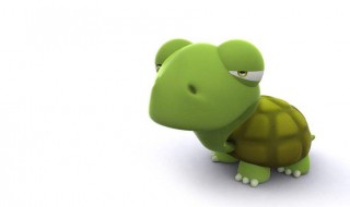 乌龟尾巴长一般是什么品种（尾巴长的小乌龟是什么品种）