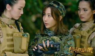 一对女特种兵拯救国王叫什么电影名（一对女特种兵拯救国王叫什么电影名称）