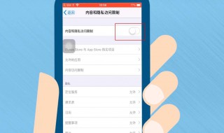 苹果手机可以隐藏软件吗（苹果手机可以隐藏软件吗在哪里）