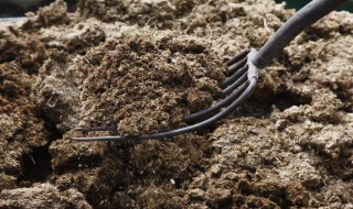 想要沤肥，怎么发酵才能最快（想要沤肥,怎么发酵才能最快除菌）