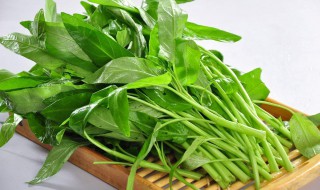 家庭土种空心菜的方法步骤 种空心菜的方法和步骤