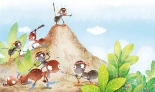 红蚂蚁的特点 昆虫记蜜蜂猫和红蚂蚁的特点