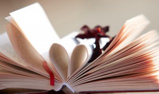 关于团队精神的正能量句子有哪些 关于团队精神的正能量句子有哪些英语