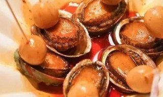 如何区分珍珠鲍和鲍鱼 如何区分珍珠鲍和鲍鱼海鲜