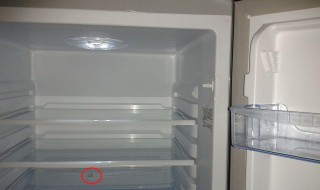 冰箱有内部有冰怎么办（冰箱里面有冰块怎么办）