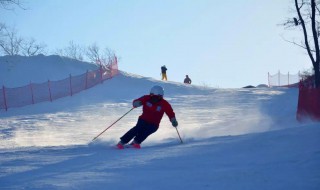 滑双雪板技巧（双板滑雪入门教程）