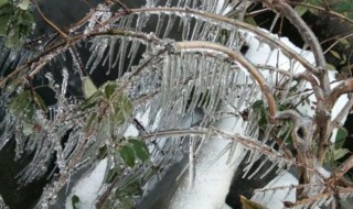 下雪杀菌的原理及解释（下雪消毒杀菌）