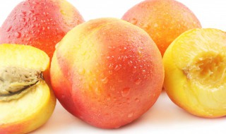 油桃是凉性水果吗 油桃是凉性的嘛