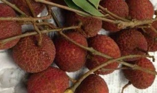 吃荔枝会长痘吗（吃荔枝会长痘吗?）