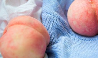 甜瓜能和桃子一起吃吗(甜瓜能和桃子一起吃吗孕妇)