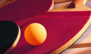 乒乓球的发球技巧 乒乓球的发球技巧名词解释