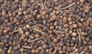 水翁花的功效与作用（水翁花的功效与作用百度百科）