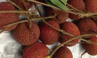 荔枝和虾能一起吃吗 荔枝和虾可以一起吃吗