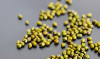 鱼可以和绿豆一起吃吗（绿豆可以和鱼一起吃吗?）