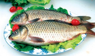 鱼和什么不宜同食 鱼不能跟什么同食