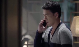 小儿难养乐乐是严道信亲女吗(小儿难养认女儿)