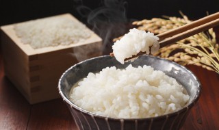 光波微波炉蒸米饭的方法 微波炉蒸米饭用微波还是光波