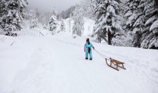 赞美冬雪的搞笑句子 赞美冬雪的搞笑句子短句