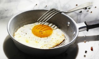 有关鸡蛋的句子（有关鸡蛋的句子有哪些）