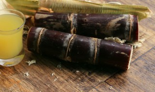 甘蔗是否有种子（甘蔗是否有种子结构）