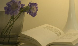 鸿案鹿车意思（鸿案鹿车指什么生肖）