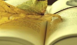 乏的组词 给的组词