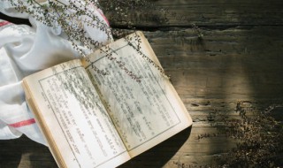 齐驱并进意思（齐驱并进意思解释）