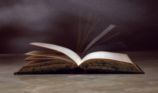 视若无睹什么意思 视若无睹?