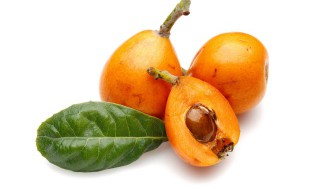 果壳属于什么垃圾（碧根果壳属于什么垃圾）